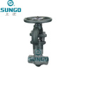 ASME Forged Steel Globe Valve